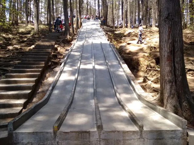 Municipal Cerro El Baúl Park