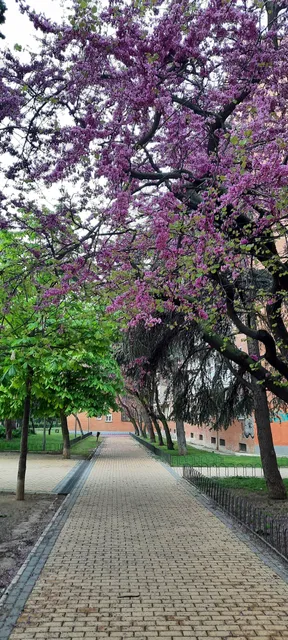 photo-1