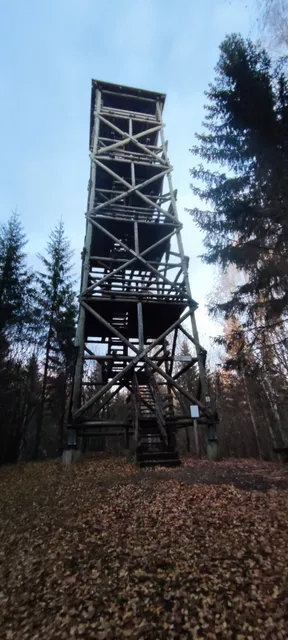 Viti järve matkarada