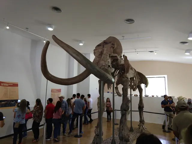 Cerro de Trincheras Archaeological Zone