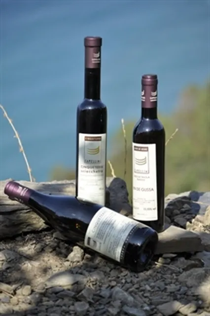 Azienda Agricola Capellini Luciano