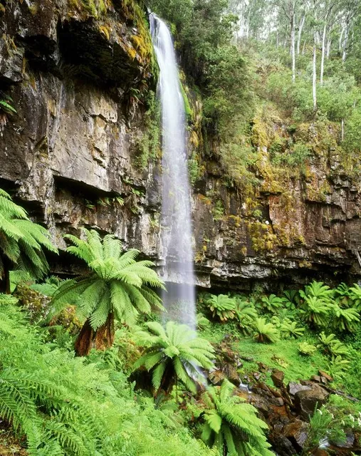 Bindaree Falls