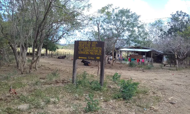 Santa Teresa (Municipio)