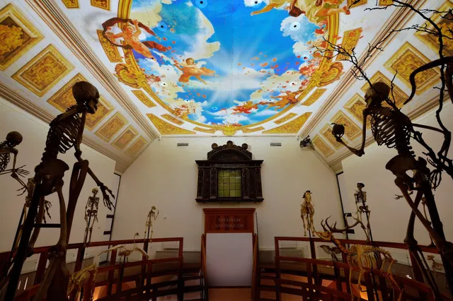 Rijksmuseum Boerhaave