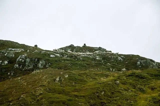 Área recreativa de Viapará