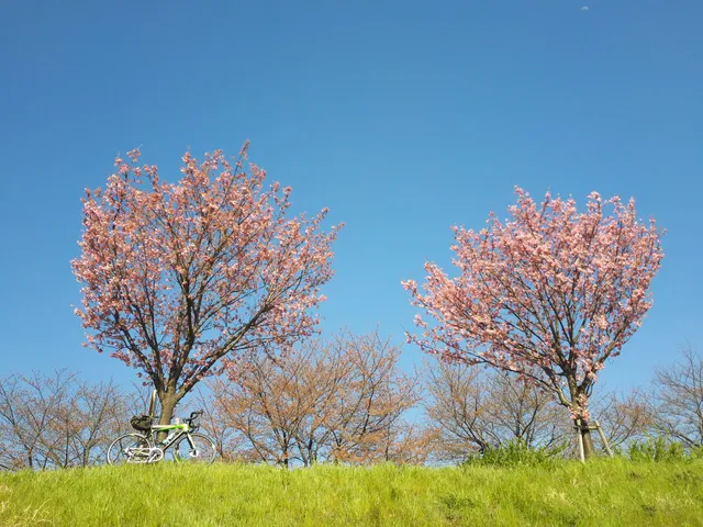 Katsuragawa Ryokuchi Park