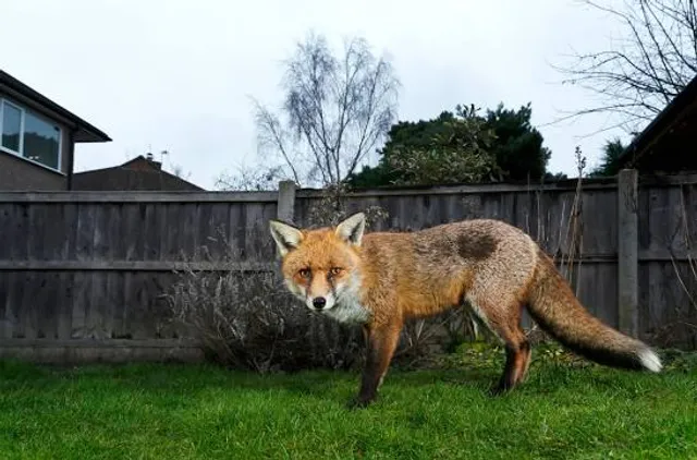 Erlebnispark Voglsam, Baumhaus, Kartbahn, Ballonfahren uvm. ( Öffnet wieder im Frühjahr 2024)