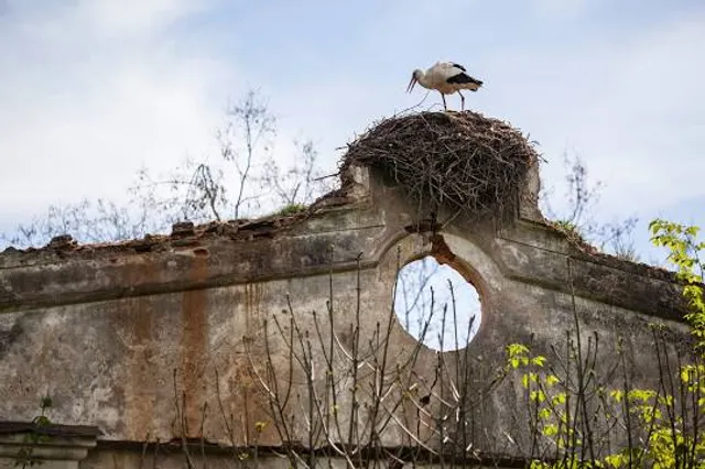 Усадьба «Наднеман»
