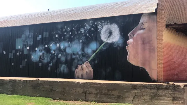 Contemporary Art Museum Plainview