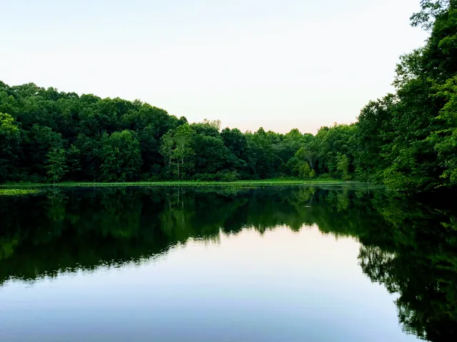 Wellston Wildlife Area