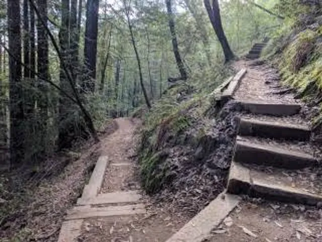 King Mountain Loop Trail