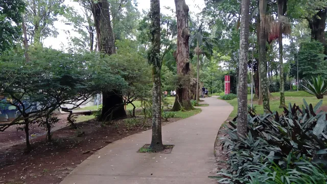 Parque Antônio Pezzolo Chácara Pignatari