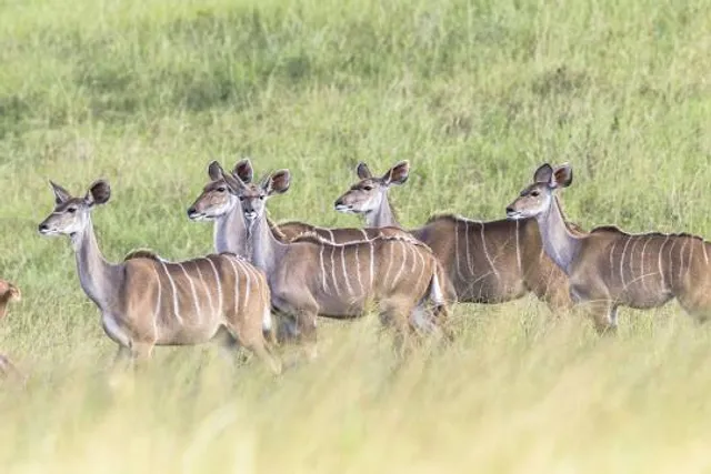 Nature Safari Park Rajgir