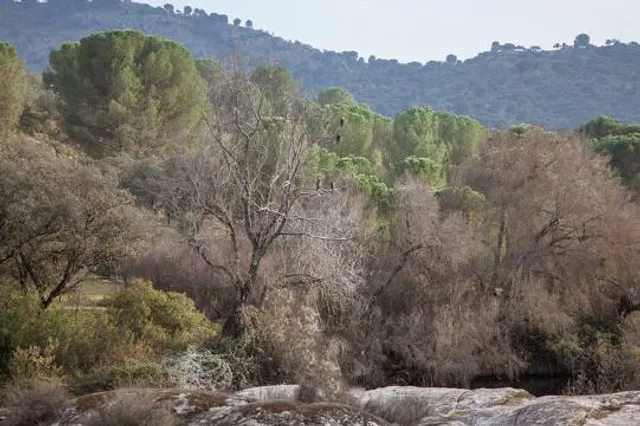 Parque Natural de la Sierra de Andújar