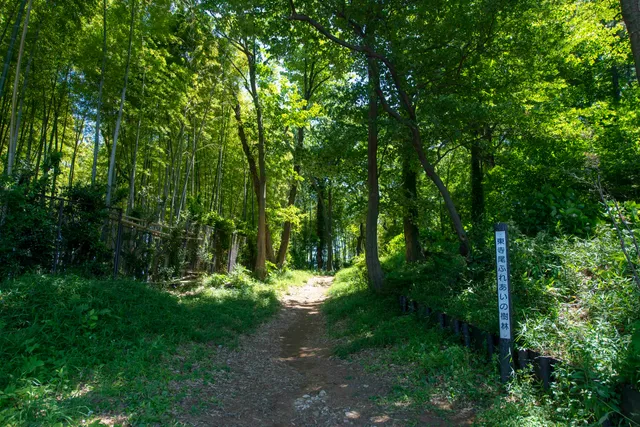 Higashiterao Fureai Forest