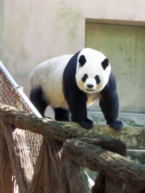 Ti Point Reptile Park