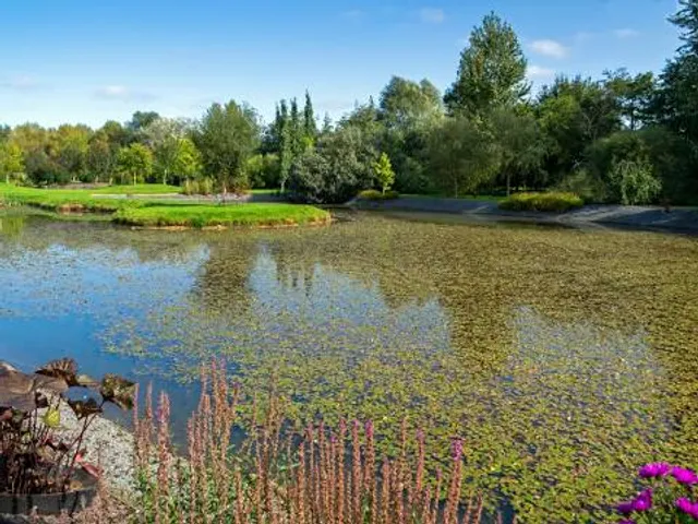 Breezy Knees Gardens