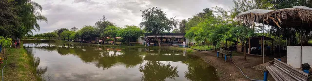 LAGO DE PESCA TERRANOVA