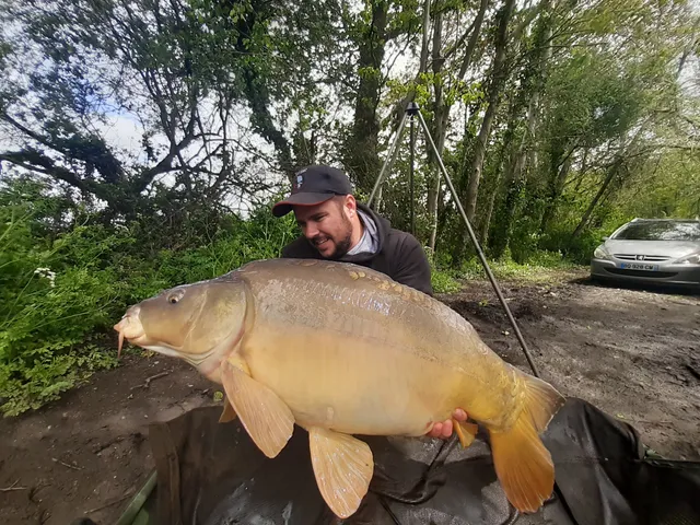 Étang de la Malonne