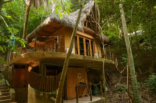 Tailwind Jungle Lodge