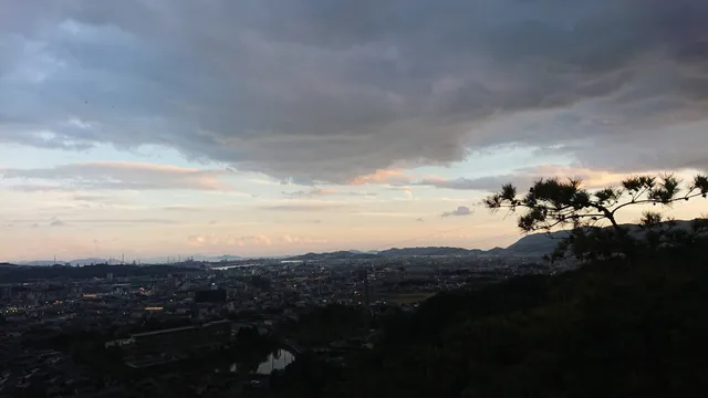 photo-1