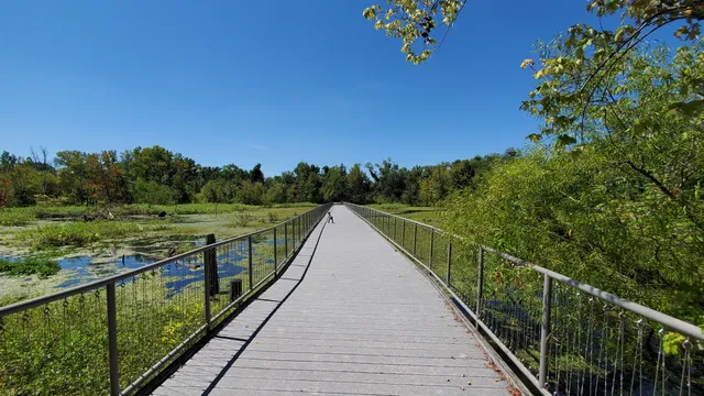 Murfree Spring Wetlands