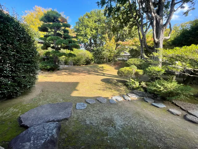 photo-1