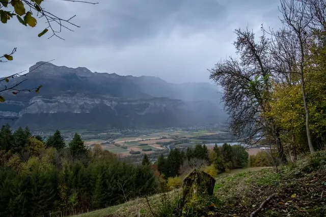 The Chartreuse Mountains
