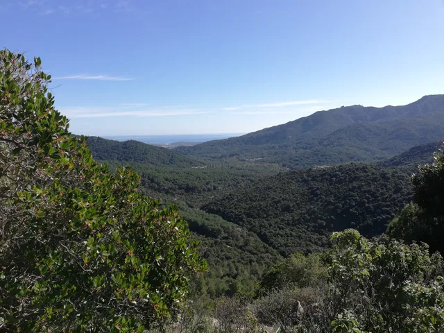 Parco Naturale Regionale di Gutturu Mannu
