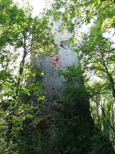 Guardiola di Guardasone