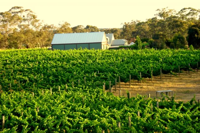 St Ignatius Vineyard & Winery