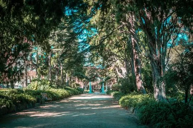 St Kilda Botanical Gardens