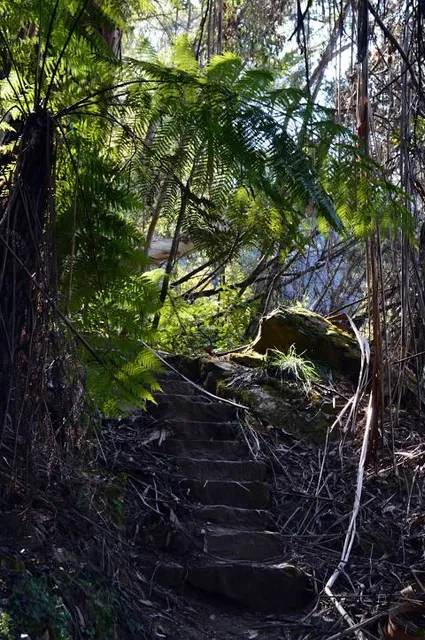 Ruined Castle walking track