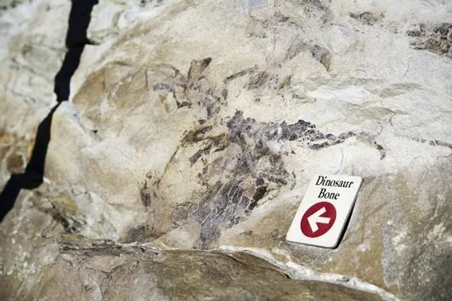 Dinosaur Ridge Discovery Center