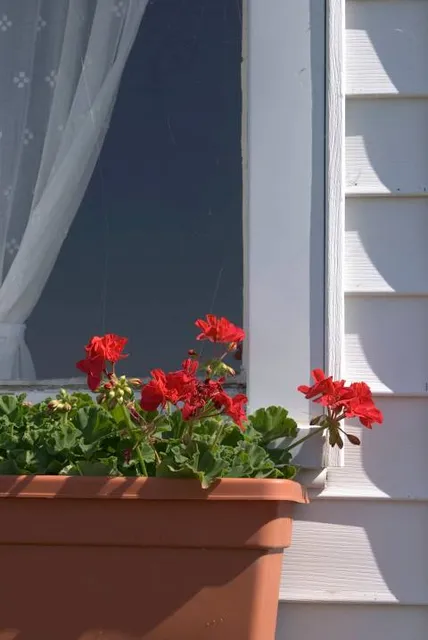 Bernard Historical Museum