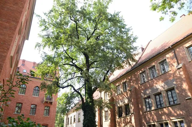 Ogród Profesorski UJ