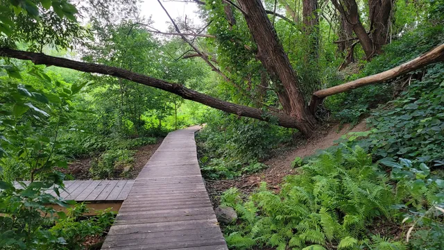 Parc du Boisé-Jean-Milot