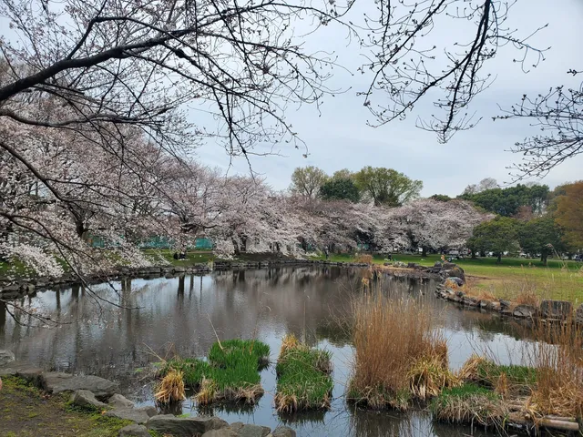 Minuma-Hikawa Park
