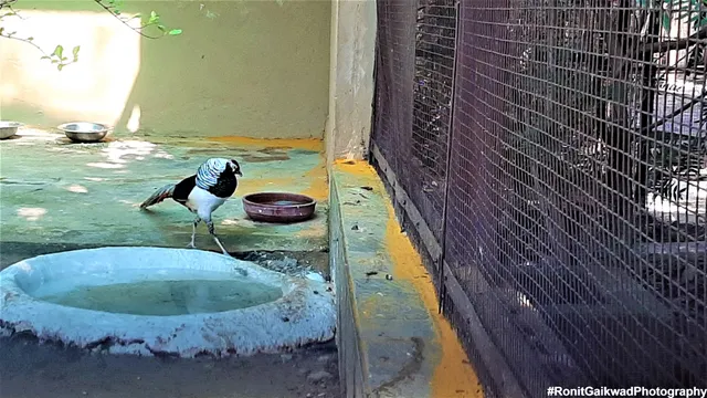 Zonal Anthropological Museum