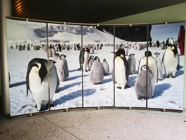 Museu Nacional da Antártida
