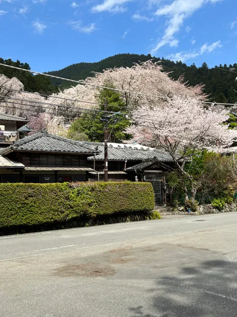 Ngạn Chi Phường