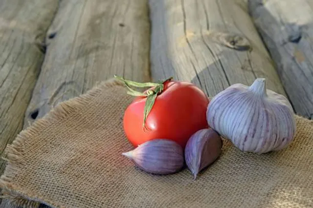 Château Préhistorique d'Araghju - Casteddu Preistoricu d'Araghju