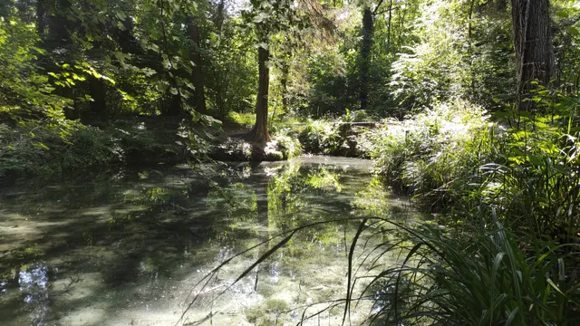 Source de la Fontaine bouillante