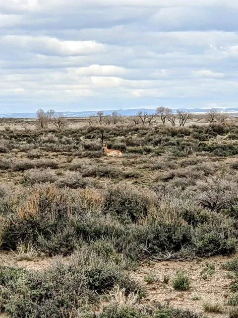 Seedskadee National Wildlife Refuge
