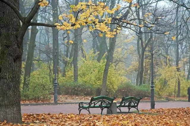 Belkinskiy Park
