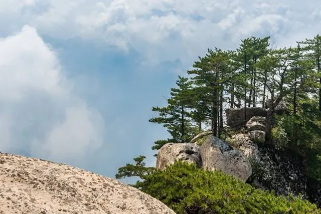 place image