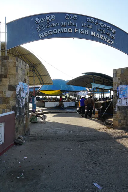 Negombo Fish Market