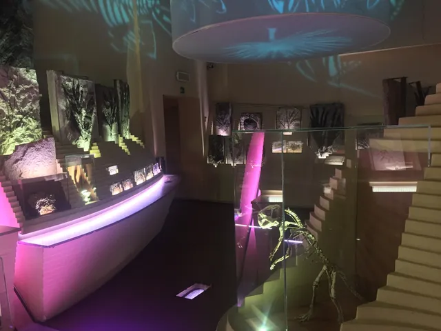 Museo de la historia natural