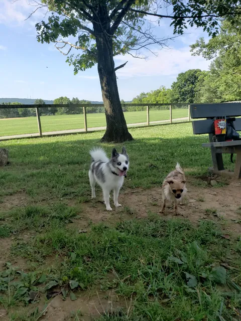 Canine Meadows John Rudy Park