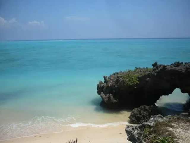 photo-1
